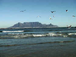 Kapstadt und der Tafelberg