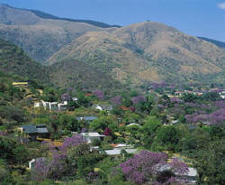 Blick auf Baberton im Frühling - Bild © South African Tourism
