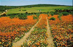 © South African Tourism